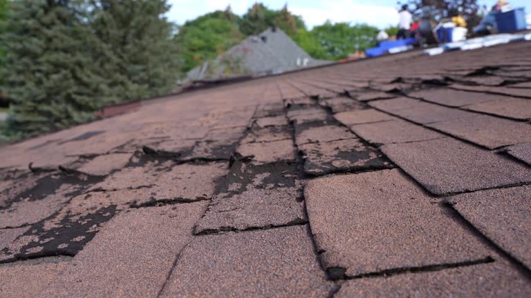 Best Storm Damage Roof Repair  in Culloden, WV